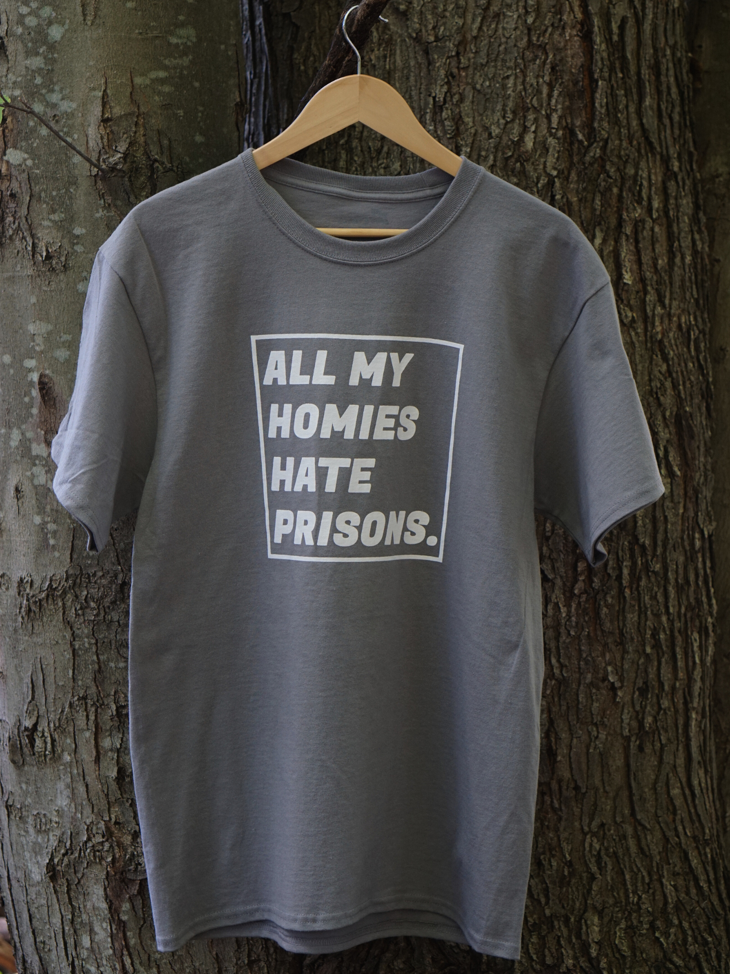 All My Homies Hate Prisons Tee