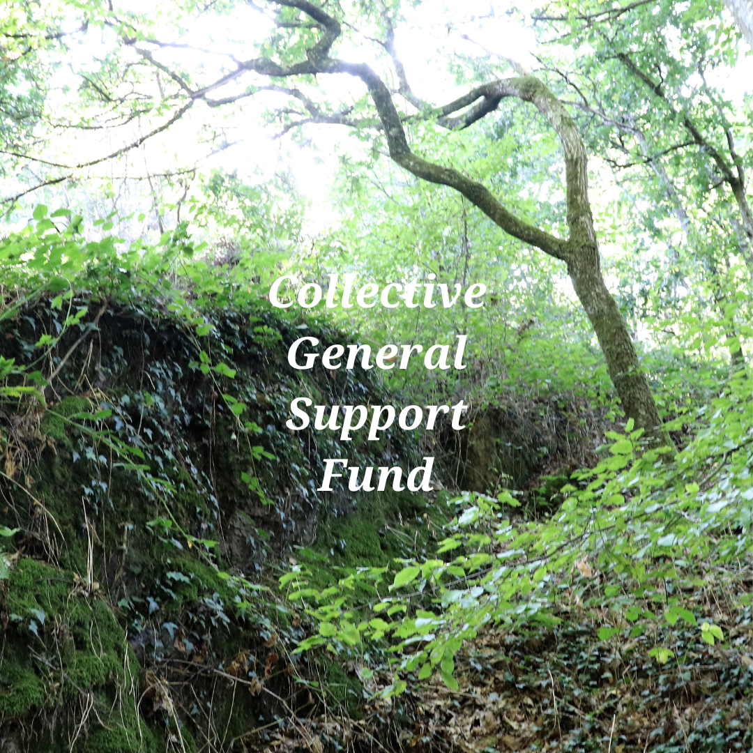 General Collective Support Fund