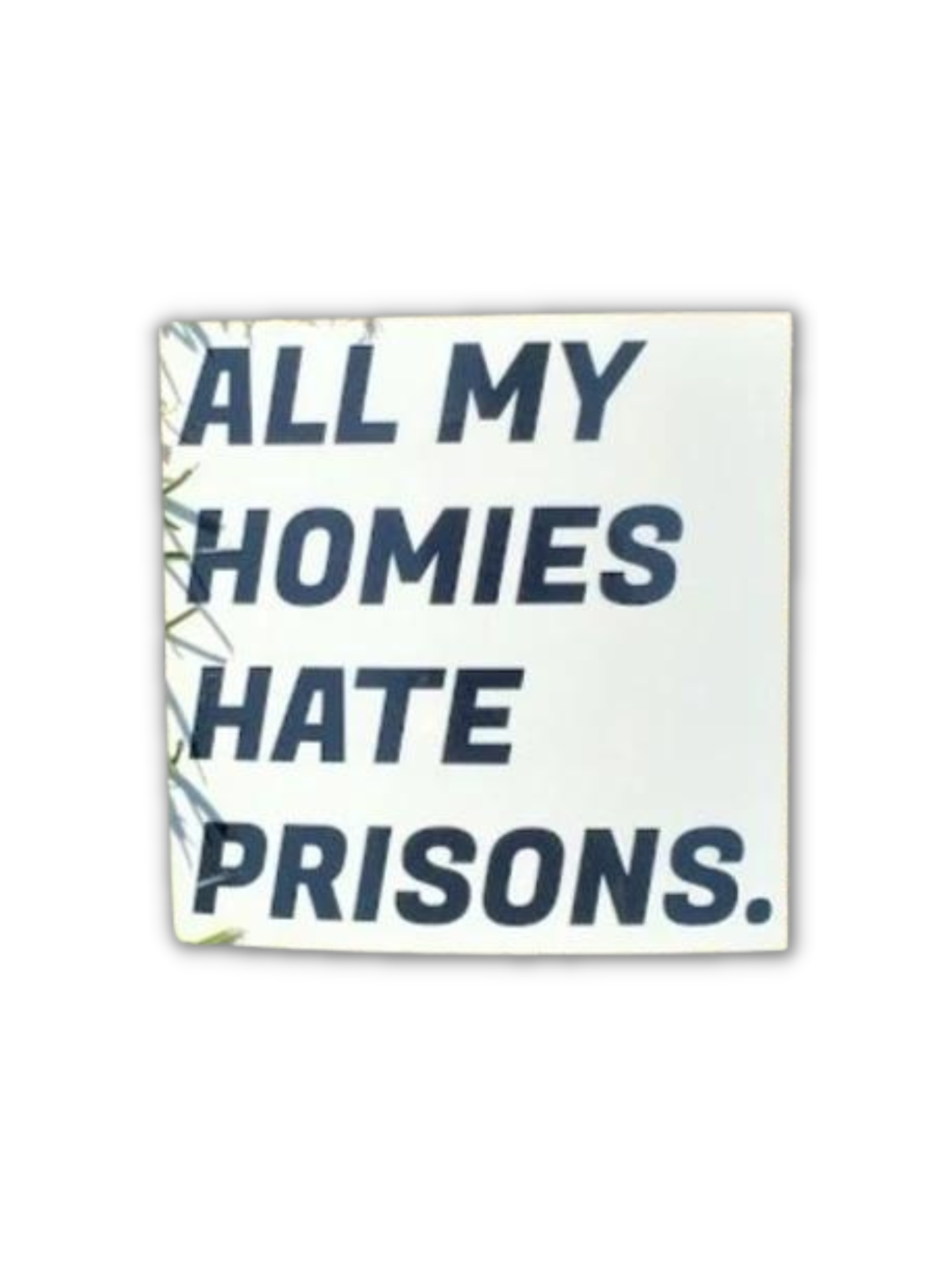 All My Homies Hate Prisons Sticker